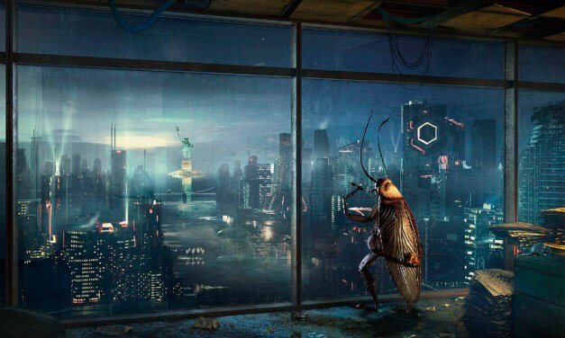 Las cucarachas están evolucionando tan rápido que serán más resistentes a los pesticidas